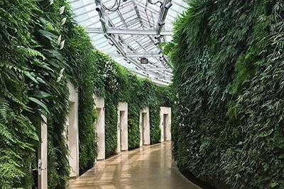 仿真植物墙