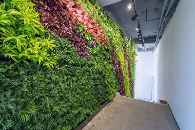 植物墙软装